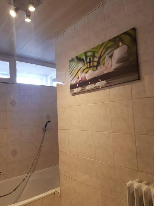 Superbe Appartement En Residence Prive Avec Un Parking Prive Scionzier Exteriér fotografie